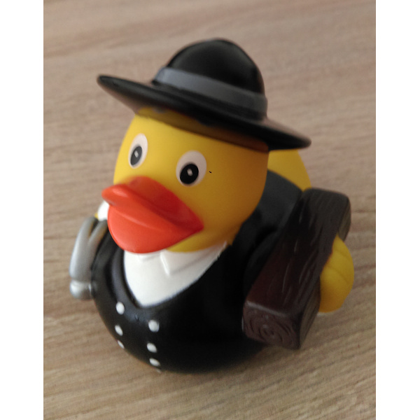 Ente_Zima_Figur.jpg